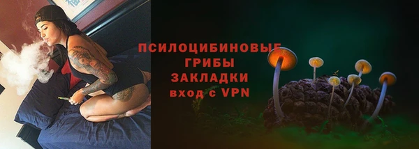 стафф Надым