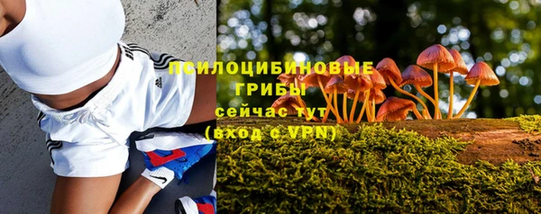 соль ск Наволоки