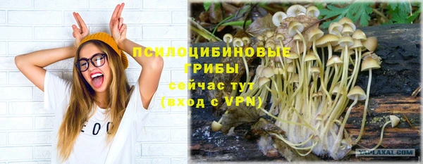 стафф Надым