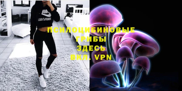 стафф Надым