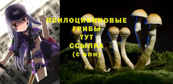 соль ск Наволоки