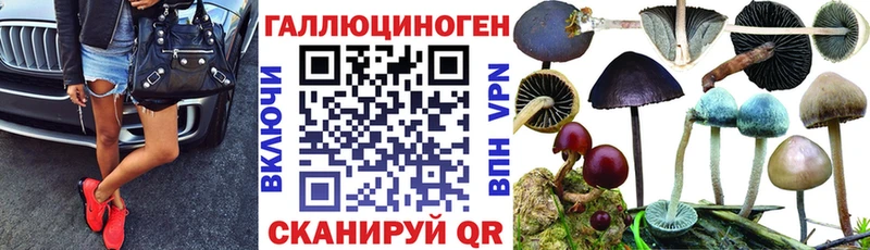 Псилоцибиновые грибы MAGIC MUSHROOMS  Купить где  Усть-Катав 